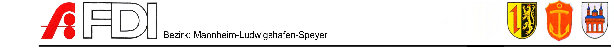 fdi_mannheim_ludwigshafen_speyer013.jpg